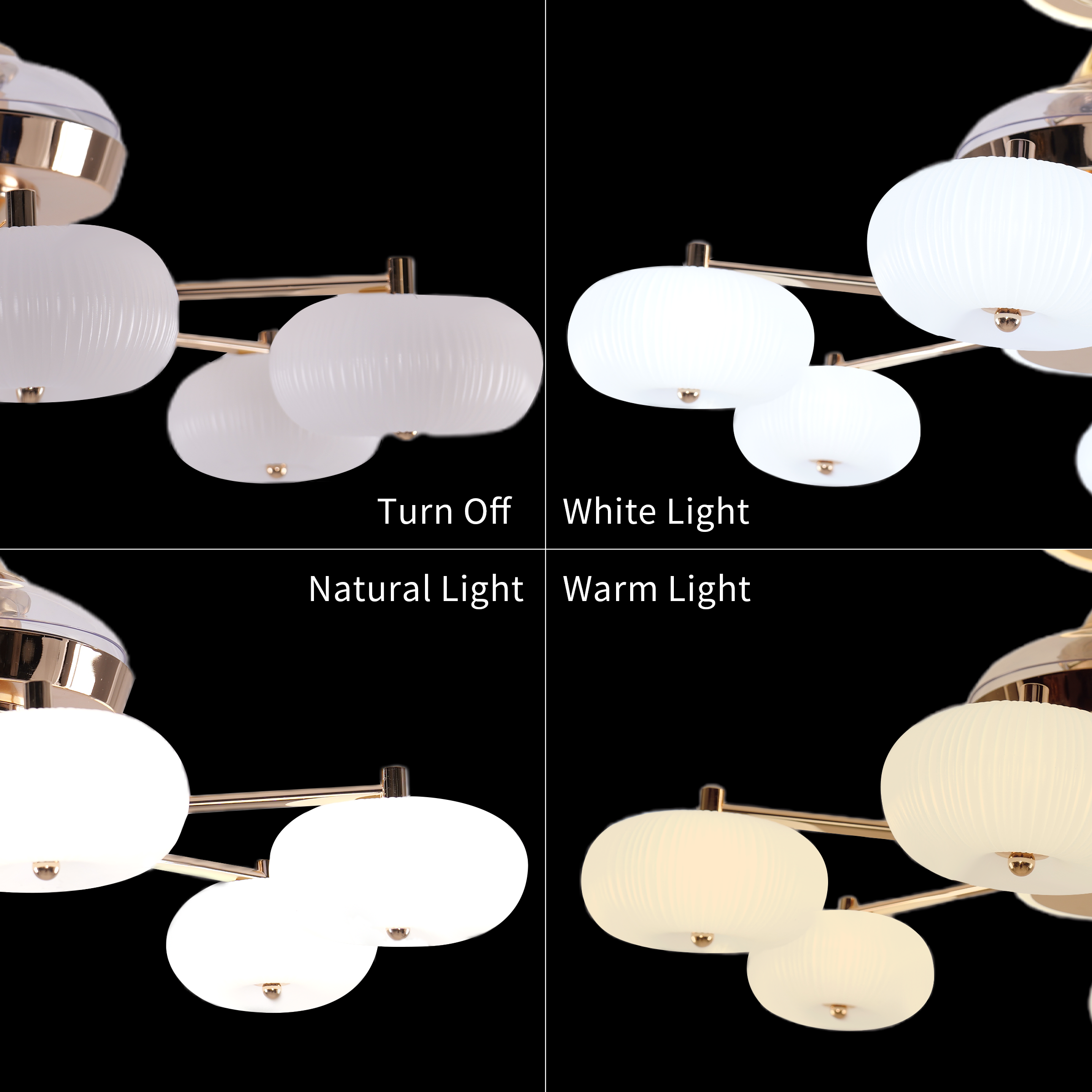 quiet-copper-acrylic-ceiling-fan-light-with-6-speed-control-and-remote-timer